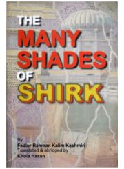 The many shades of Shirk